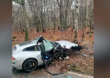 Incidente Michail Antonio