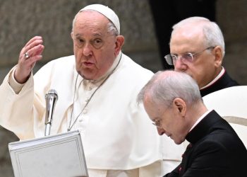 Udienza Papa Francesco in Vaticano