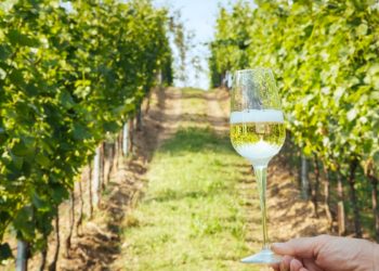 Il vino prodotto dalle vigna della Franciacorta (@inLombardia)