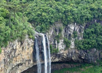 In Amazzonia (Pixabay)