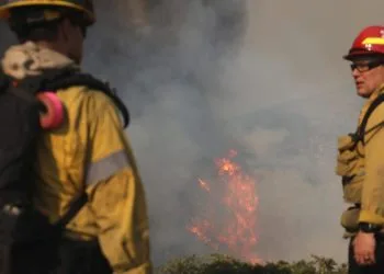 Los Angeles, vigili del fuoco nelle zone colpite (Ansa)