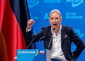 Weidel, AfD