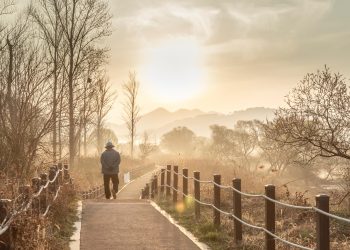Anziano che passeggia