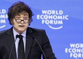 Javier Milei a Davos (Ansa)