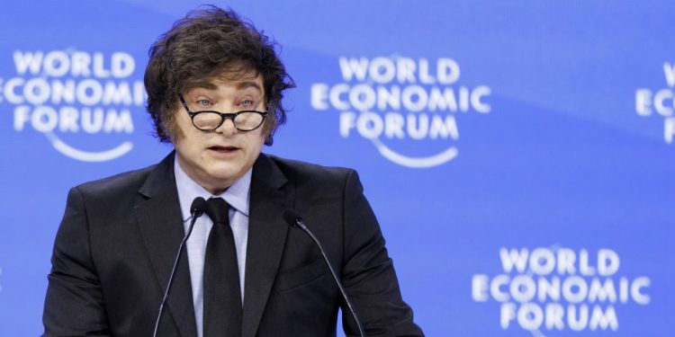Javier Milei a Davos (Ansa)