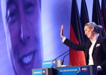 Elon Musk con l'AfD