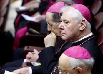 Card. Muller in Vaticano