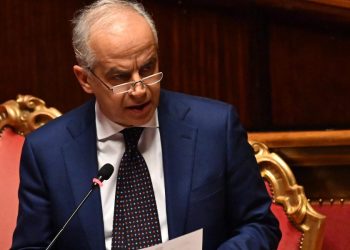 Piantedosi al Senato