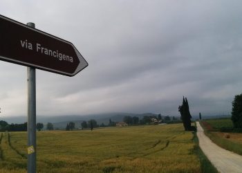 Foto di LeDecodeur da Pixabay