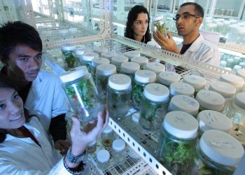 Image by felixioncool from Pixabay