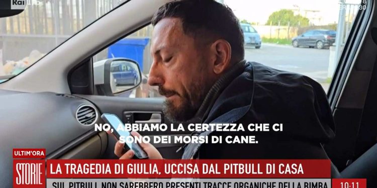 Il caso della bimba aggredita da un pitbull (Foto: Storie Italiane)