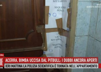 Il caso della bimba di Acerra (Foto: Storie Italiane)