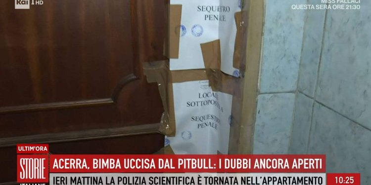 Il caso della bimba di Acerra (Foto: Storie Italiane)