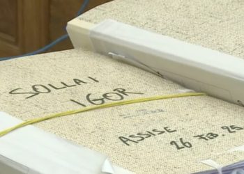 Igor Sollai a processo l'omicidio di Francesca Deidda (Foto: Tgr Sardegna)