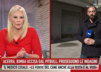 Il caso della bimba di Acerra (Foto: Storie Italiane)