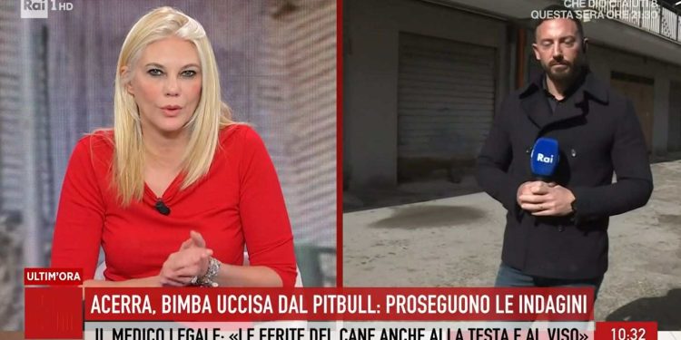 Il caso della bimba di Acerra (Foto: Storie Italiane)