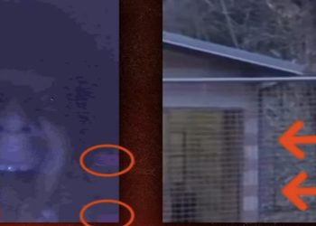 Selfie di Mara Favro e presunto luogo dello scatto (Foto: Facebook Chi l'ha visto?)