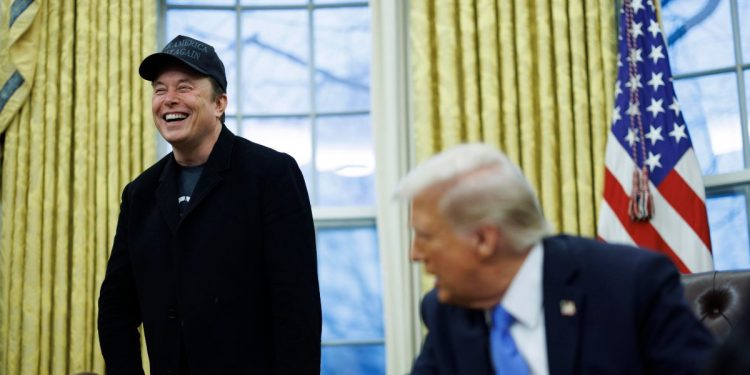 Trump e Musk, Usa