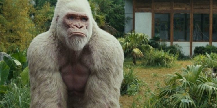 Il film in prima serata su Italia 1 (Foto Web)