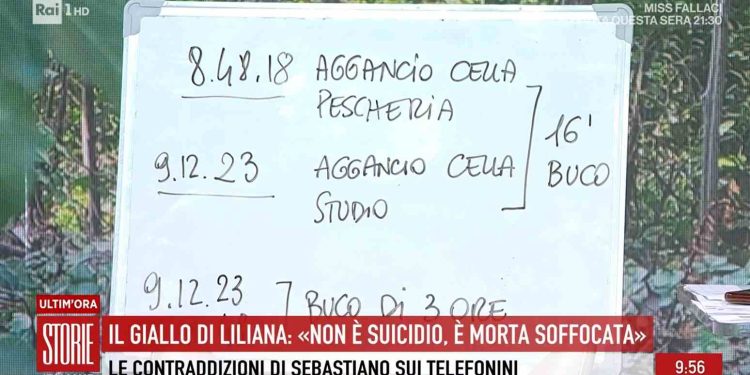 Il giallo di Liliana Resinovich, gli spostamenti di Sebastiano (Foto: Storie Italiane)