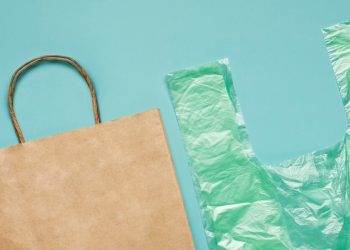 Buste della spesa, carta e plastica