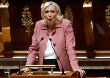 Marine Le Pen, Parlamento Francia