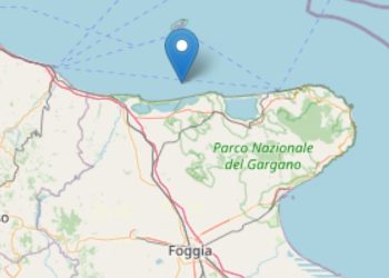 Terremoto Costa Garganica, 8 aprile 2025 (Foto Ingv)