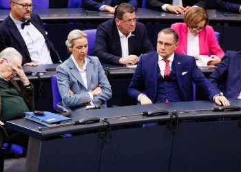 AfD al parlamento di Germania