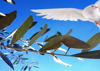 Domenica delle Palme (Foto Web)