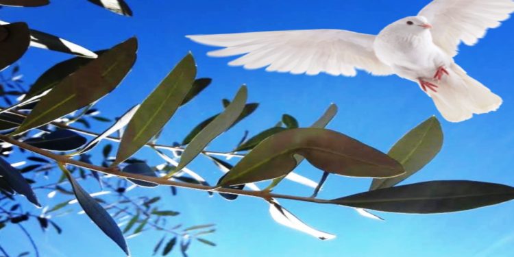 Domenica delle Palme (Foto Web)