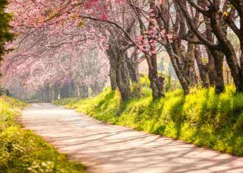 Luoghi belli in primavera