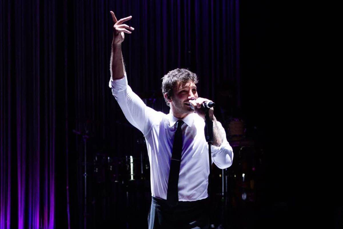 stefano de martino qual è il titolo di studio