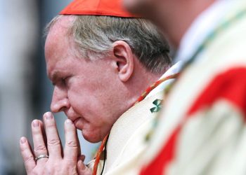 Il cardinale Willem Jacobus Eijk, arcivescovo di Utrecht (Ansa)