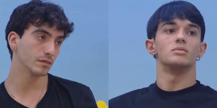 Francesco contro Daniele ad Amici 24