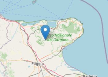 Terremoto oggi, 25 aprile 2025, San Marco in Lamis (Foto: Ingv)