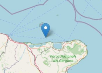 Terremoto Costa Garganica, 27 aprile 2025 (Foto: Ingv)