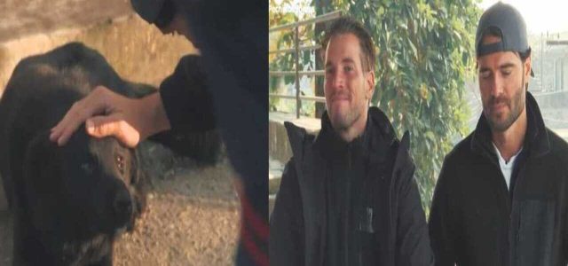 Botox Estetici Giulio Berruti a Pechino Express 2025