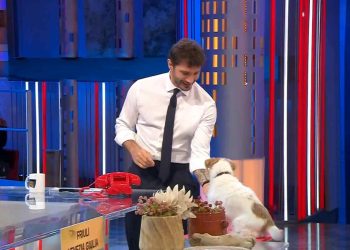 affari tuoi chi è gennarino