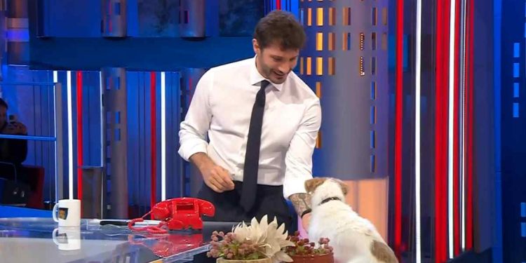 affari tuoi chi è gennarino