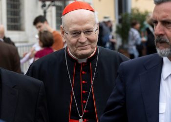 Card. Erdo in Vaticano