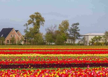 Borgo sicialiano come Olanda