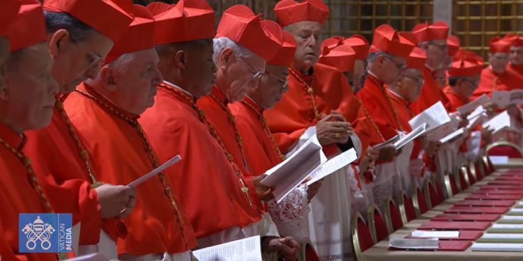 Cardinali in Conclave 2025