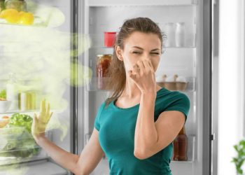 addio cattivi odori frigo