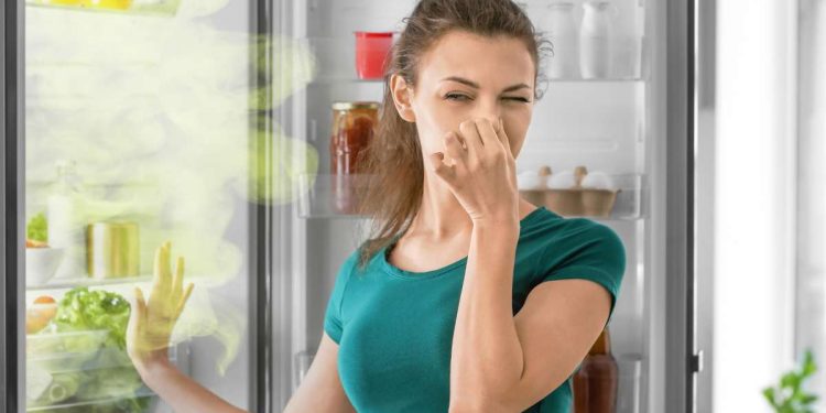 addio cattivi odori frigo
