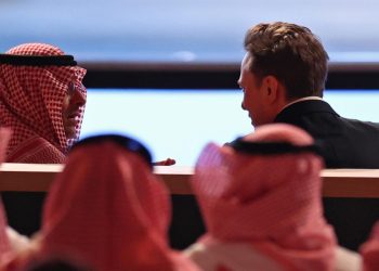 Elon Musk in Arabia Saudita (Ansa)