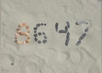 Post Instagram di James Comey che alluderebbe all'uccisione di Trump (Foto FOX News)