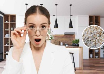 Palline bianche uova formiche