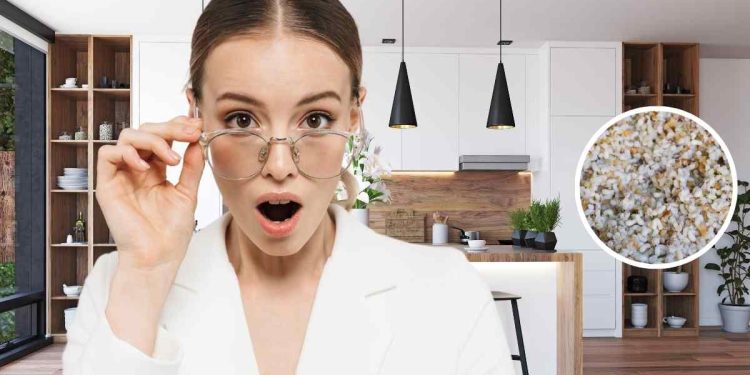 Palline bianche uova formiche