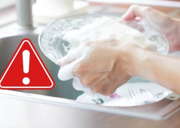 Detersivo per piatti nocivo