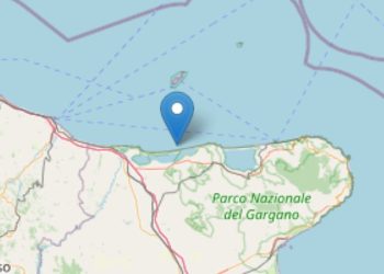 Terremoto Costa Garganica 24 maggio 2025 (Foto INGV)